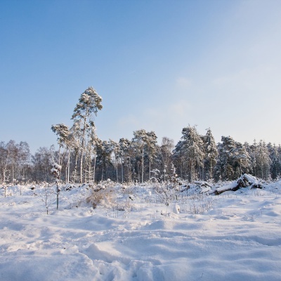 Winter-IMG_8784_LR.jpg