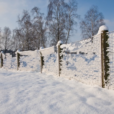 Winter-IMG_8789_LR.jpg
