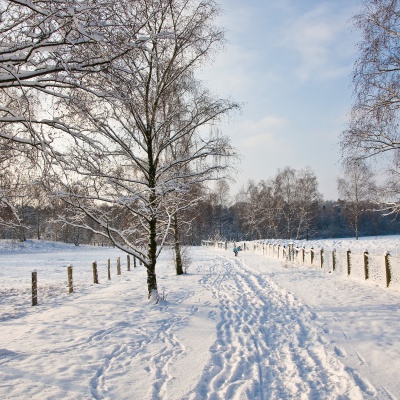 Winter-IMG_8792_LR.jpg