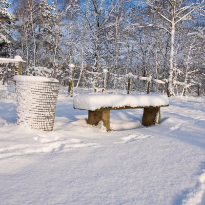 Winter-IMG_8795_LR.jpg