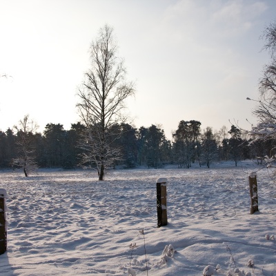 Winter-IMG_8796_LR.jpg