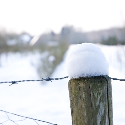 Winter-IMG_8914_LR.jpg