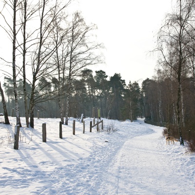 Winter-IMG_8931_LR.jpg