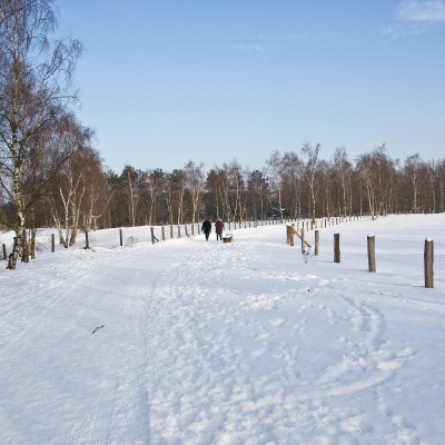 Winter-IMG_8932_LR.jpg
