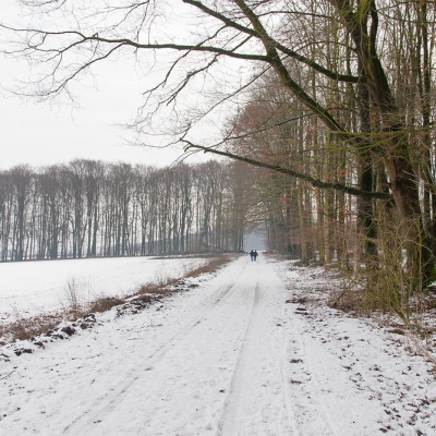 Winter-IMG_8973_LR_40D.jpg