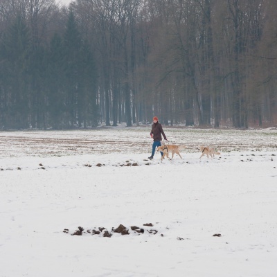 Winter-IMG_8994_LR_40D.jpg