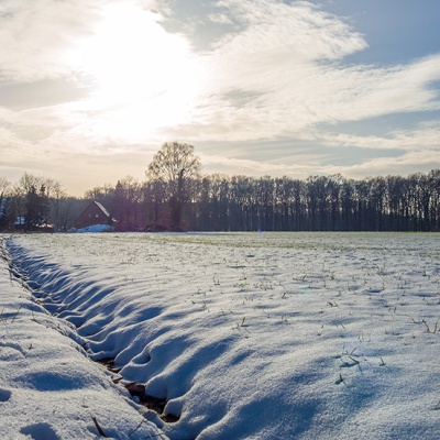 Winter_DSC03703_LR_RX100.jpg