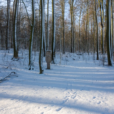 Winter_DSC03717_LR_RX100.jpg