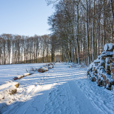 Winter_DSC03726_LR_RX100.jpg
