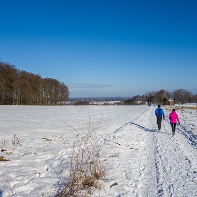 Winter_DSC03746_LR_RX100.jpg