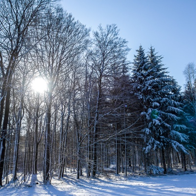 Winter_DSC03750_LR_RX100.jpg