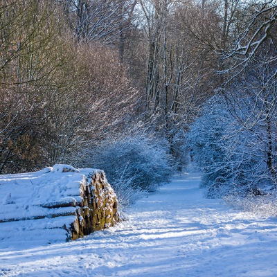Winter_DSC03751_LR_RX100.jpg