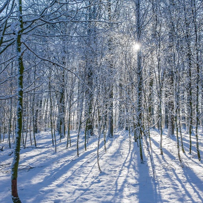Winter_DSC03756_LR_RX100.jpg