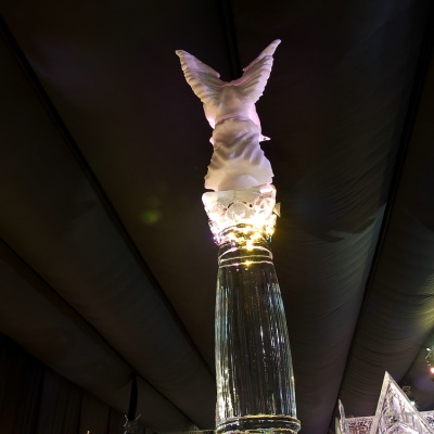Eisskulpturen-P1030849_LR.jpg