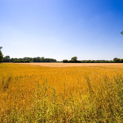 Muenster_MG_2985_LR_6D-MKII.jpg