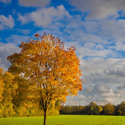 Muenster_MG_3838_LR_6D-MKII.jpg
