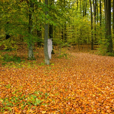 Herbst_DSC06228_LR_RX100.jpg