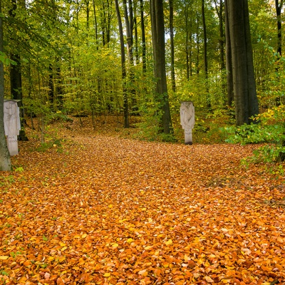 Herbst_DSC06229_LR_RX100.jpg