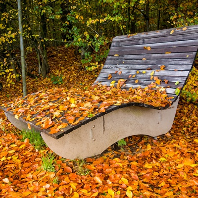 Herbst_DSC06235_LR_RX100.jpg