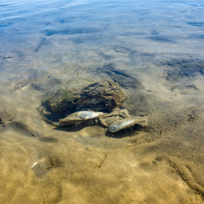 Cuxhaven-DSC02890_LR_RX100.jpg