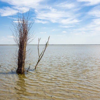 Cuxhaven-DSC03321_LR_RX100.jpg