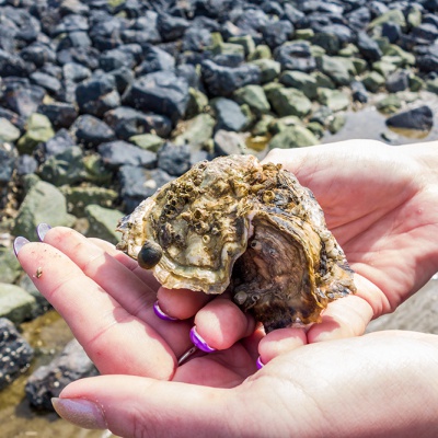 Cuxhaven-DSC03333_LR_RX100.jpg