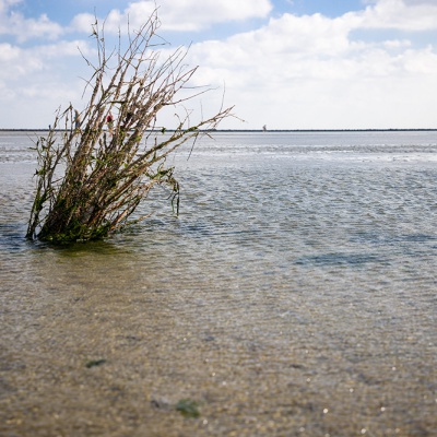 Cuxhaven-IMG_1649_LR_6D-MKII.jpg
