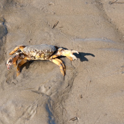 Cuxhaven-IMG_6568_LR.jpg