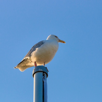 Cuxhaven-IMG_6710_LR_70D.jpg