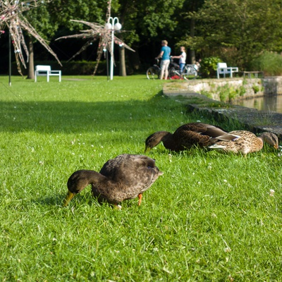 Cuxhaven-DSC02917_LR_RX100.jpg