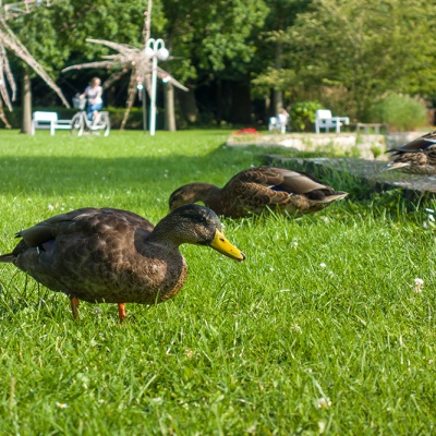 Cuxhaven-DSC02918_LR_RX100.jpg