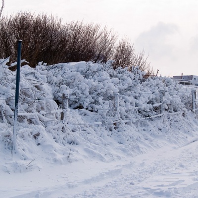 Cuxhaven_Winter_125_LR.jpg