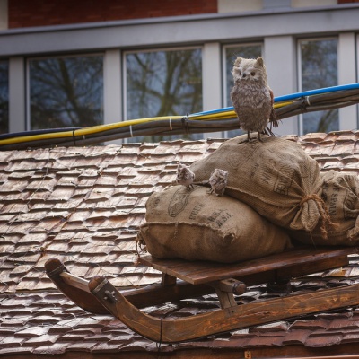 Muenster-IMG_1873_LR_40D.jpg