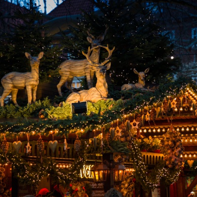 Muenster-IMG_2727_LR_6D-MKII.jpg